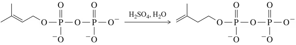 Mechanism of acid-catalyzed conversion of DPP to IPP, showing reactants, catalyst, and products.