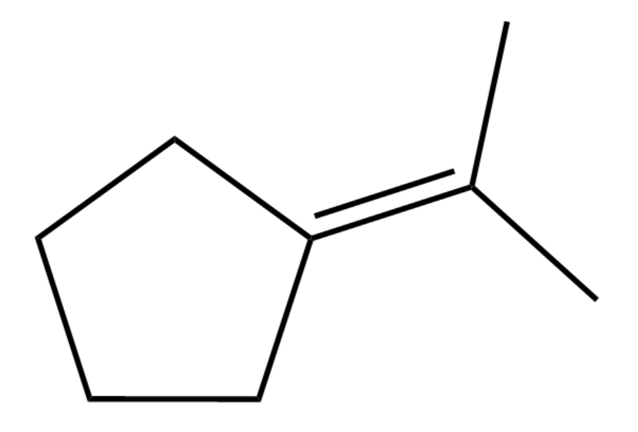 <IMAGE>