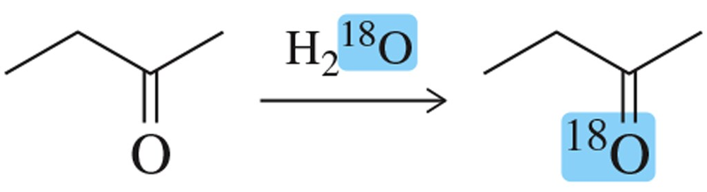 Chemical reaction showing a ketone reacting with 18O-labeled water, incorporating the label into the ketone structure.