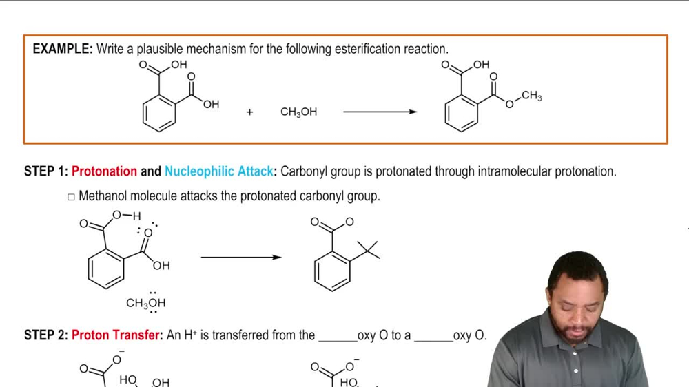 Intramolecular Acid-Base Catalysis Example 1
