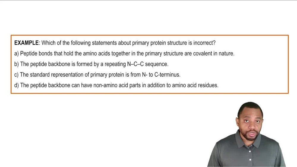 Primary Protein Structure Example 1