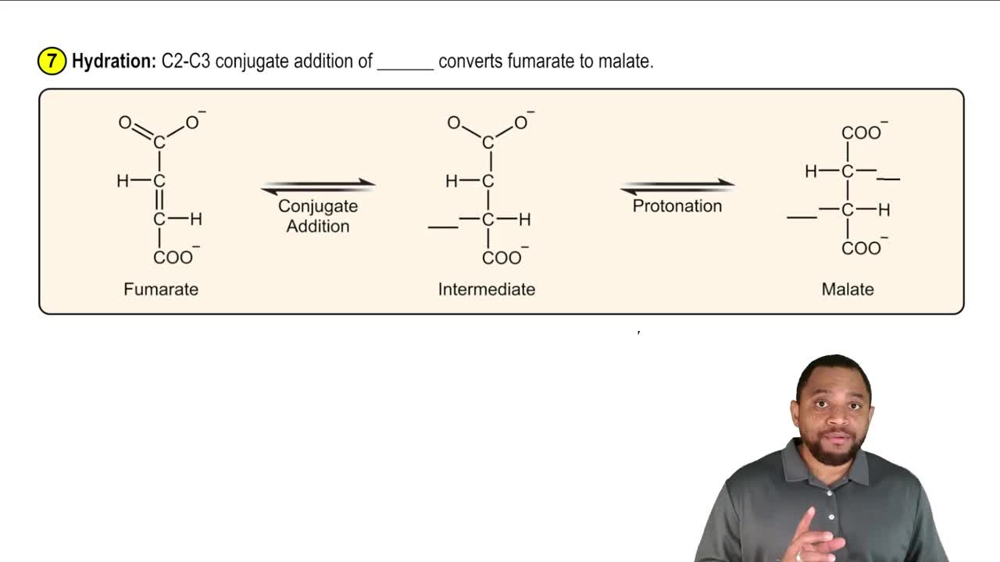 The Citric Acid Cycle Concept 10