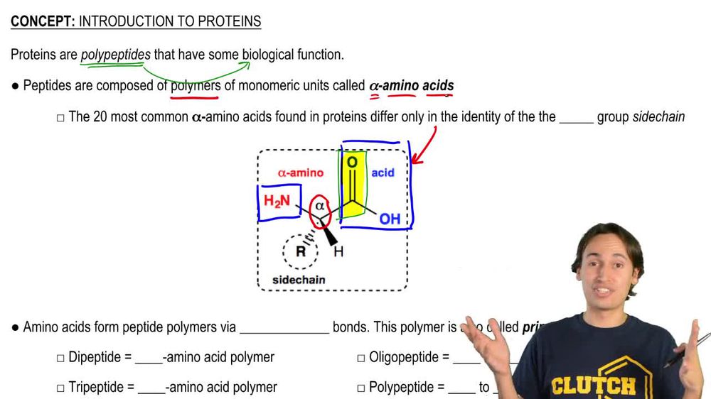 Peptides and Polypeptides