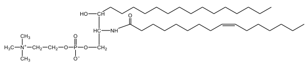 sphingomyelin