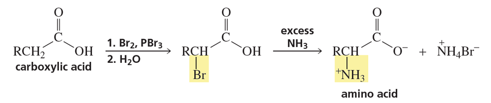 Diagram illustrating the reaction of a carboxylic acid with excess ammonia to form an amino acid.
