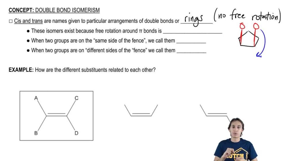 How to name different types of double bonds or rings