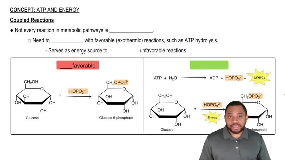 Coupled Reactions Concept 2