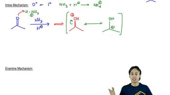 Imine Mechanism