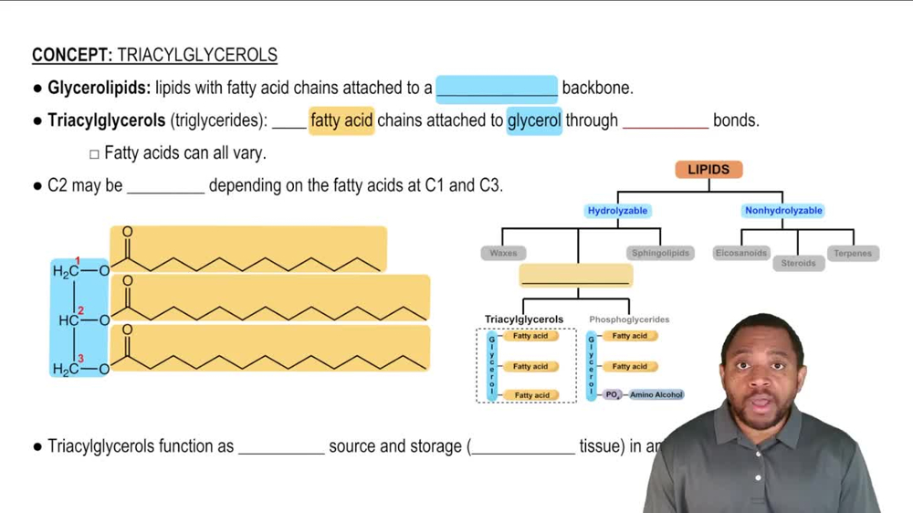 Triacylglycerols Concept 1