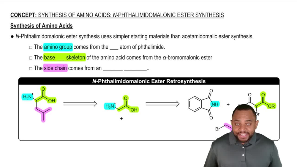 Synthesis of Amino Acids: N-Phthalimidomalonic Ester Synthesis Concept 2