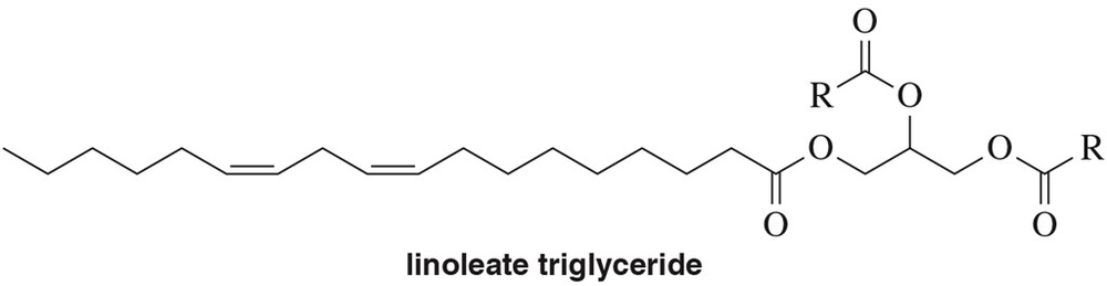 Chemical structure of linoleate triglyceride, showing double bonds and ester functional groups.