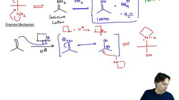 Enamine Mechanism
