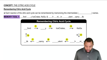 Remembering Citric Acid Cycle Concept 5