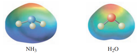 Electrostatic potential maps of ammonia and water, showing regions of high and low electron potential.