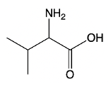 structure of final product