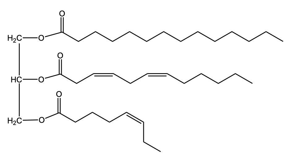 Chemical structure of triacylglycerol after partial hydrogenation.