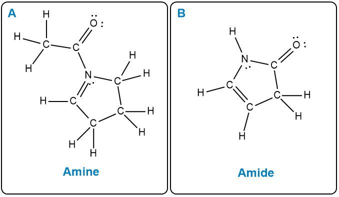 Answer Option D
