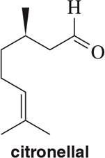 Chemical structure of citronellal, highlighting isoprene units and functional groups.
