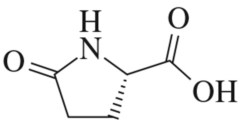 Chemical structure of Pyr, an amino acid not found in the standard 20, showing its unique molecular composition.