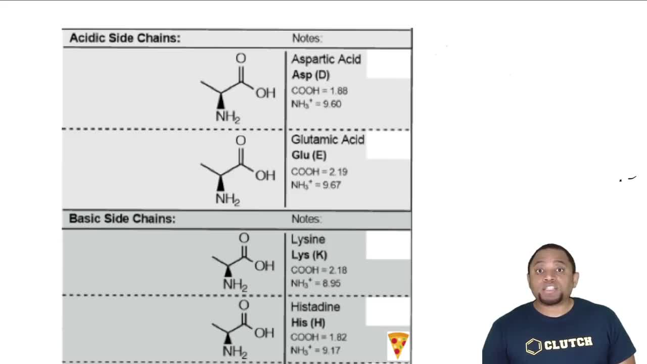 Charged Amino Acids