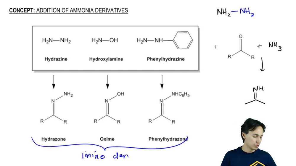 Ammonia Derivatives