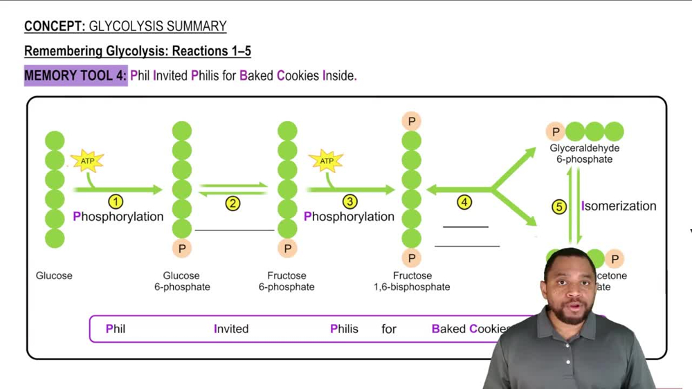 Remembering Glycolysis Concept 2