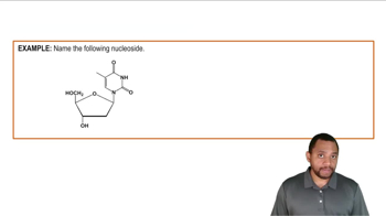 Naming Nucleosides and Nucleotides Example 1