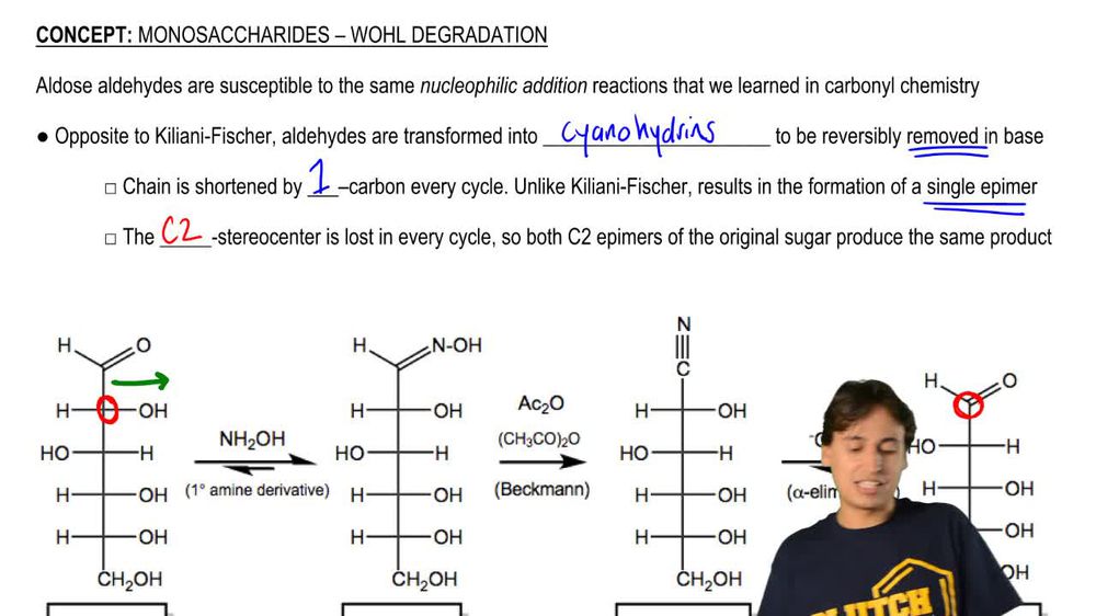 Monosaccharides - Wohl Degradation