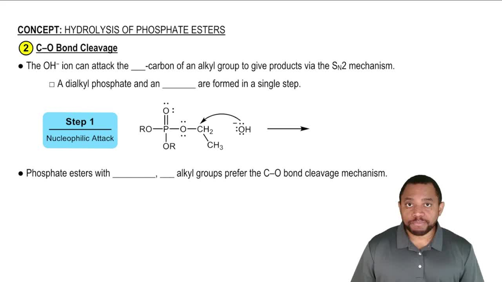 Hydrolysis of Phosphate Esters Concept 4