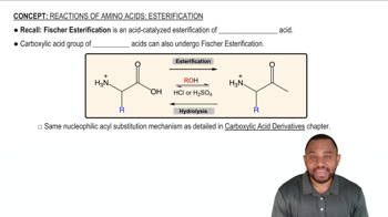 Reactions of Amino Acids: Esterification Concept 1