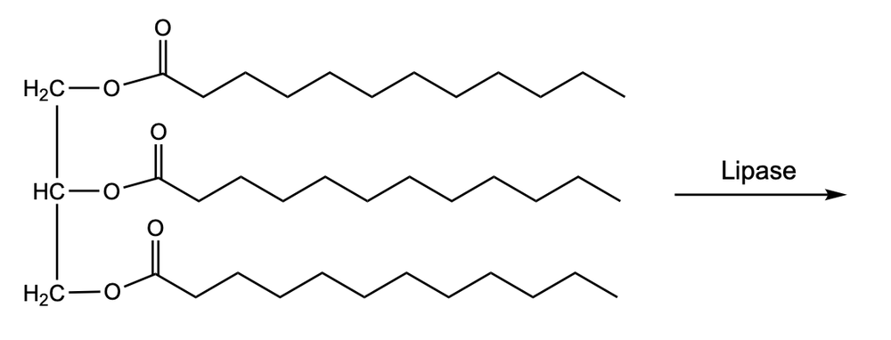 acid-catalyzed hydrolysis reaction