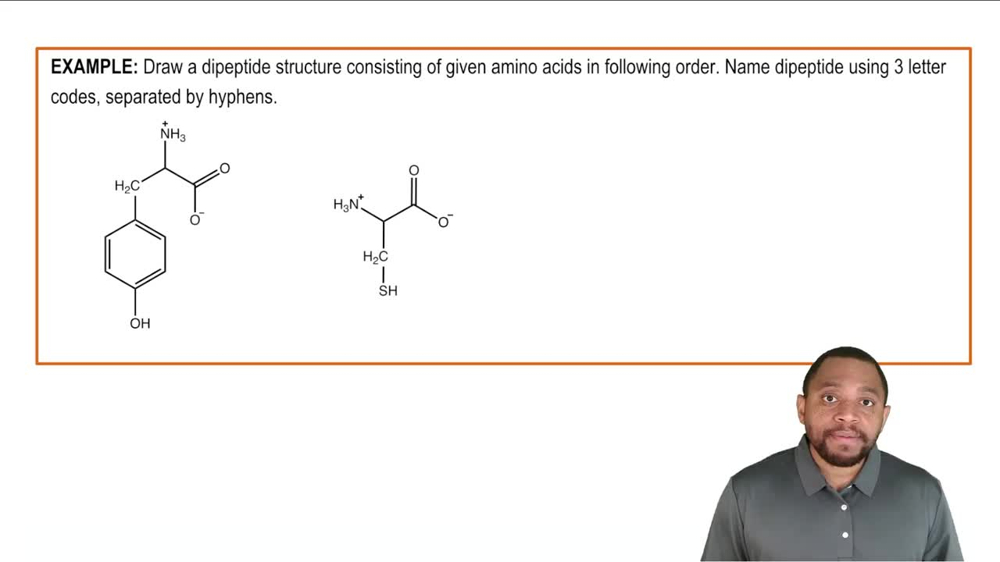 Peptides Example 2