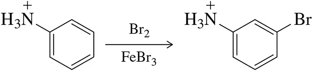 Chemical reaction diagram showing protonated aniline reacting with bromine, resulting in meta-substituted brominated product.