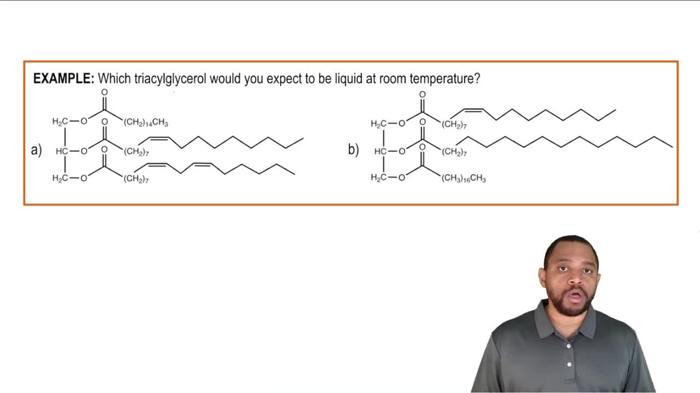 Triacylglycerols Example 2