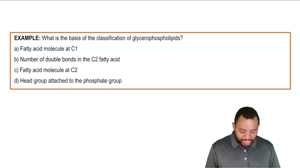 Phosphoglycerides Example 2