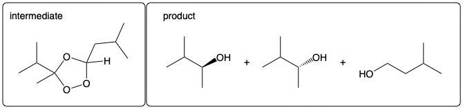 Intermediate structure and products of ozonolysis with stereochemistry considerations.