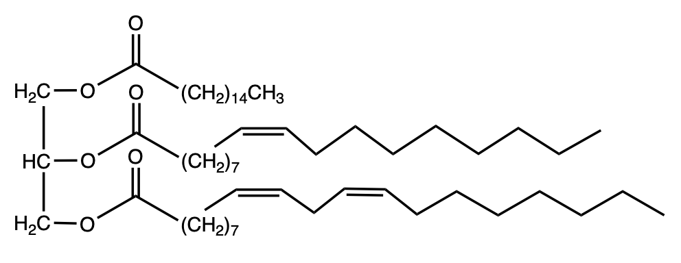 triacylglycerol