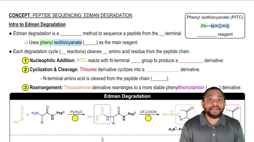 Peptide Sequencing: Edman Degradation Concept 1
