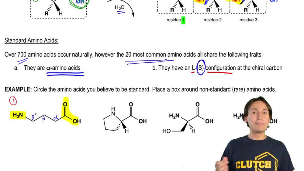 Standard Amino Acids