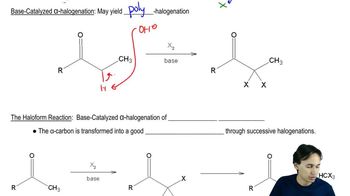 Base Catalyzed