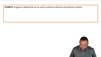 Synthesis of Amino Acids: Strecker Synthesis Example 1