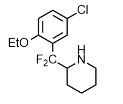 <IMAGE>