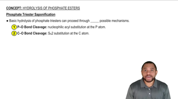 Hydrolysis of Phosphate Esters Concept 2
