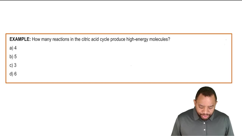 The Citric Acid Cycle Example 6