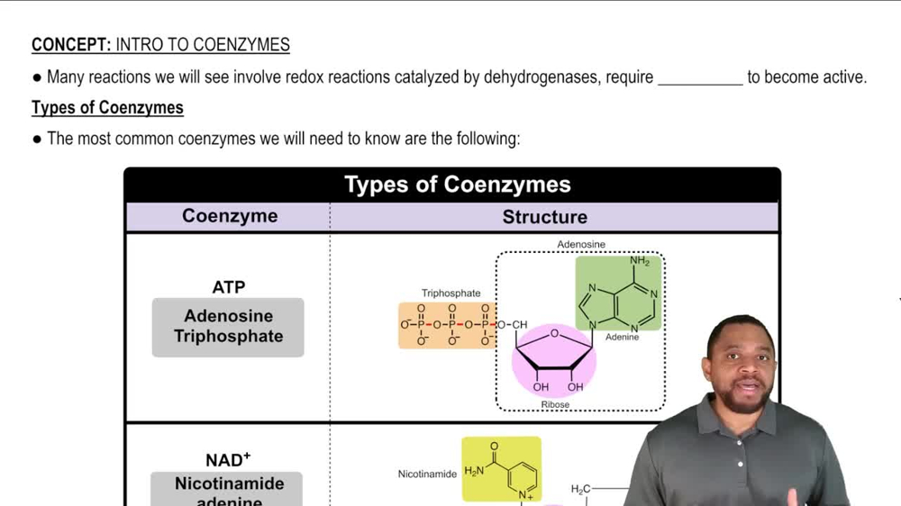 Intro to Coenzymes Concept 1