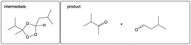 Intermediate structure and products of ozonolysis reaction with carbonyl compounds.