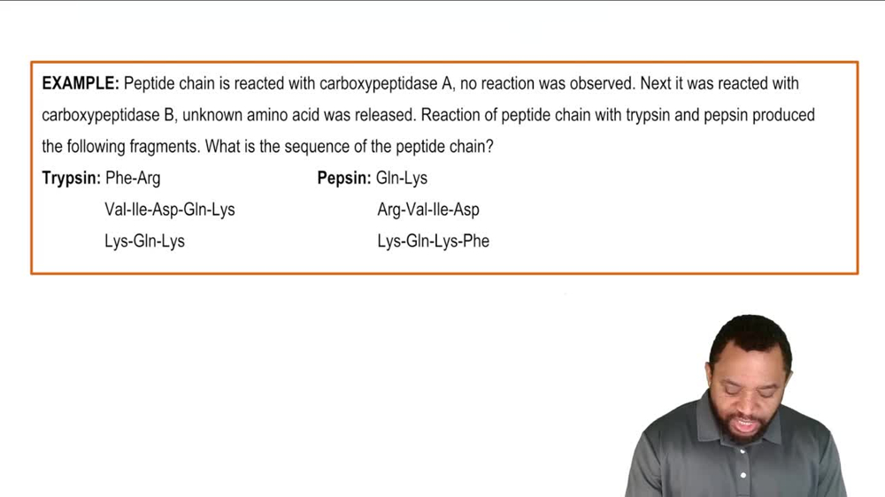 Peptide Sequencing: Partial Hydrolysis Example 3