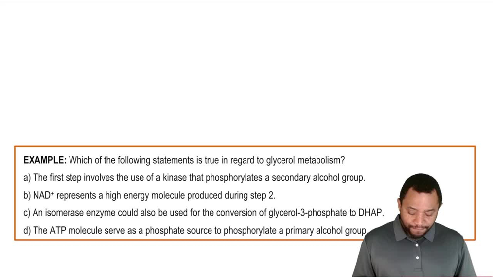 Glycerol Metabolism Example 2