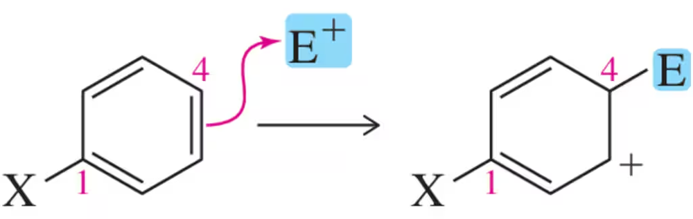 Diagram illustrating electrophilic aromatic substitution with a benzene derivative, showing the reaction mechanism and substituents.