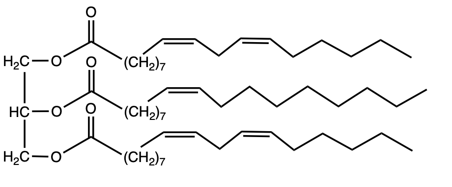 triacylglycerol